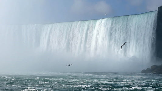 Niagarafallene, foss, fugler, Flying, elven, landskapet, amerikanske falls