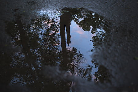 reflexión, árbol, silueta, cuerpo, agua, cielo, nube