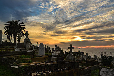 Cementerio, Cementerio, piedras sepulcrales, Sydney, Australia, salida del sol, nubes