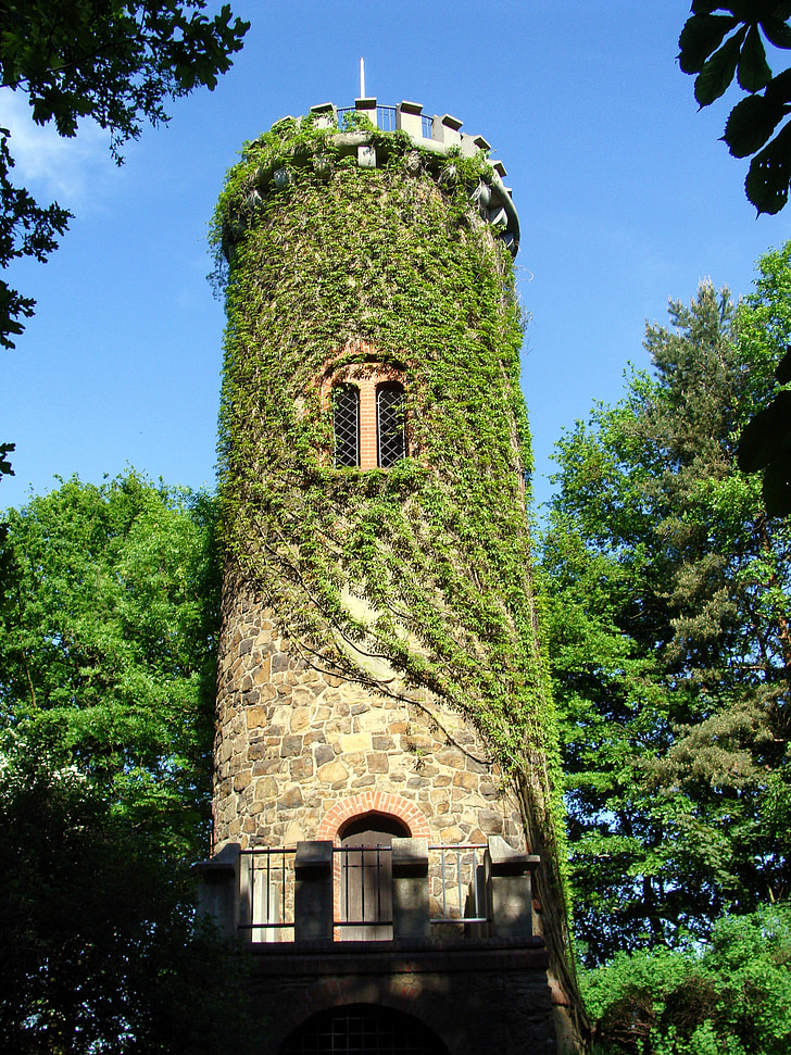 germany, tower, structure, ivy, plants, vine, vines