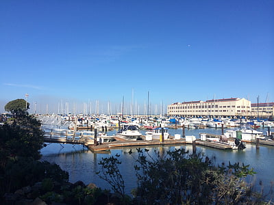 hamn, San francisco, bokade, Francisco, USA, båtar, Yacht