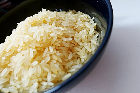 arroz, tigela de arroz, Ásia, comida, prato de arroz, comer, escudo