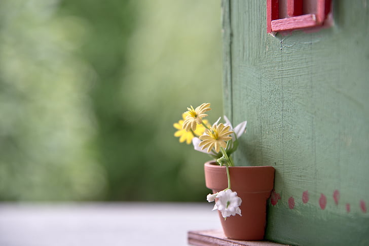 flowers, aviary, garden shed, flowerpot, close up, flower, wood - Material