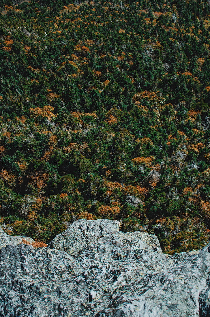 cliff, forestry, mountain, scenic, scenery, trees, wilderness