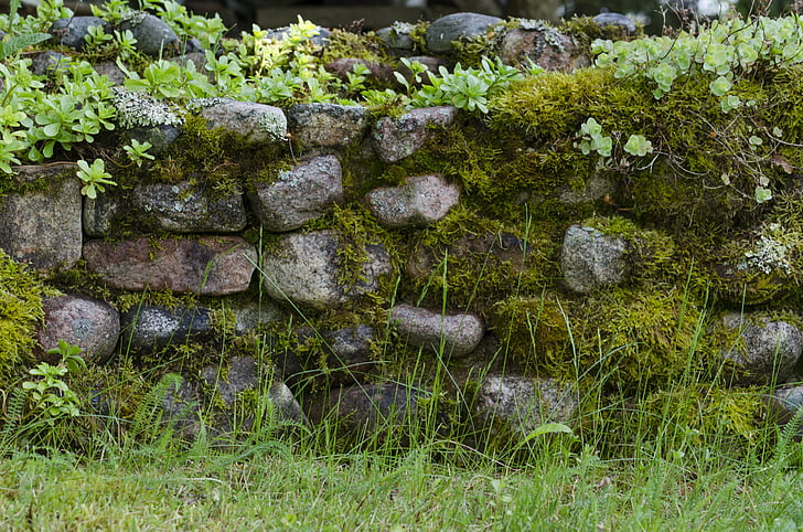 đá, rêu, Sân vườn, bức tường, cỏ, Bãi cỏ