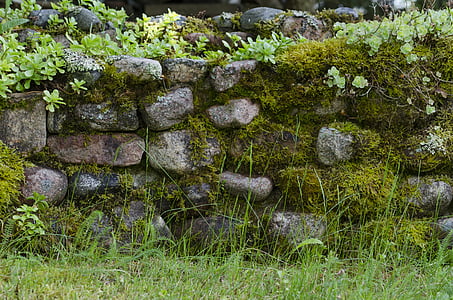 stone, moss, garden, wall, grass, lawn