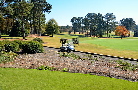 teren za golf, kolica za golf, zelje, na otvorenom, sportski, trava, klub