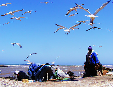 Kalastus, Marokko, Essaouira, sininen, Harbor, perinteinen, telakka