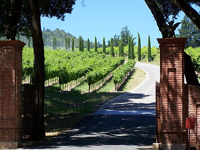Winery, Napa valley, California, vīna valstī, vīnkopību, vīna dārzu, America vīna