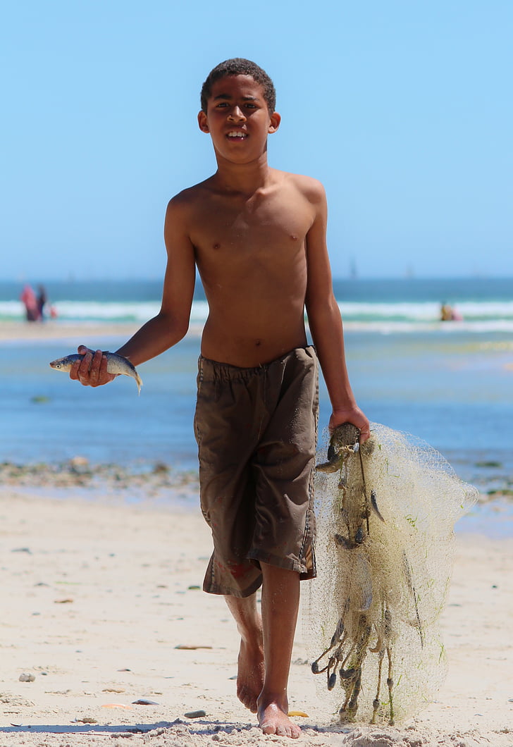 băiat, plajă, peşte, ocean, reţea, apa, pescuit