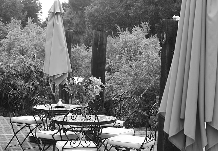 silence, terrasse, à l’extérieur, en noir et blanc, café, été, jardin