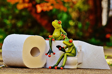 žaba, WC, Loo, Relácia, smiešny, toaletný papier, WC