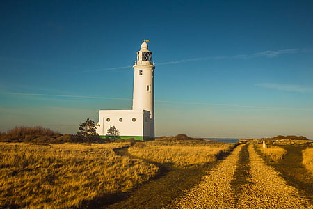 lighthouse, shore, path, country, autumn, sea, coastline