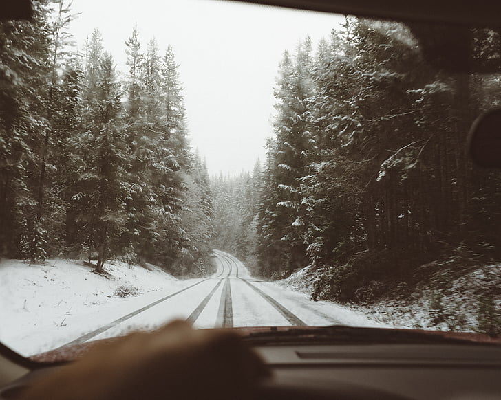 osoba, jahanje, auto, snijeg, pokrivena, stabla, preko dana