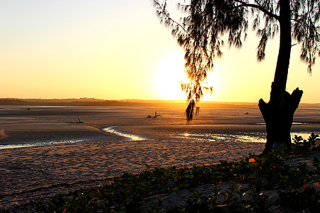 Playa, puesta de sol, árbol, Océano, mar, agua, sol