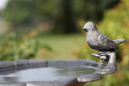 birdbath, mùa hè, Thiên nhiên, nước, con chim, Sân vườn, hoạt động ngoài trời