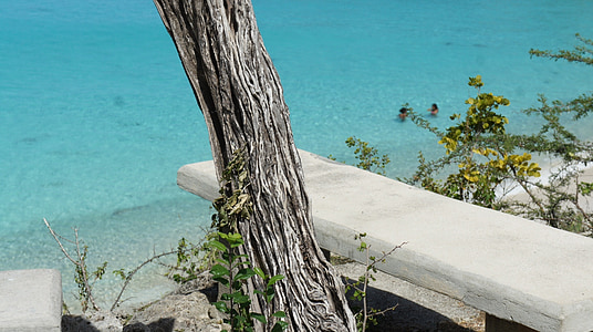 Curacao, kamenné lavice, strom, more, Príroda, pobrežie, Príroda
