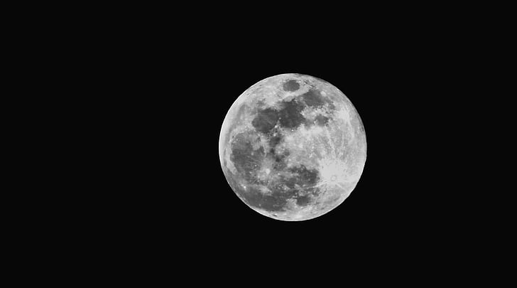 luna, peisaj, alb-negru, tulpini, astronomie, noapte, frumusete din natura