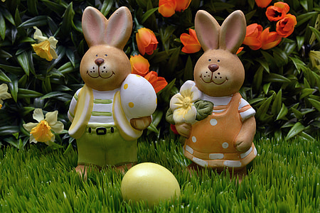กระต่าย, อีสเตอร์, ไข่, สีเหลือง, ดอกไม้, ฤดูใบไม้ผลิ, หญ้า