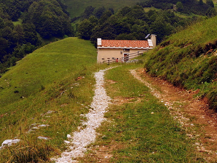 Alm, sentiero, escursionismo, montagna, a piedi, Veneto, Italia