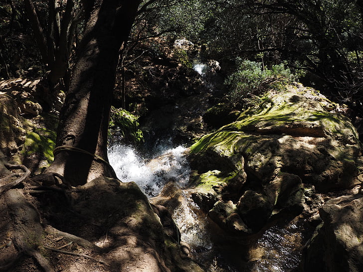 salt des freu, vattenfall, Bach, Mallorca, dalen av orient, Gorge, Orient