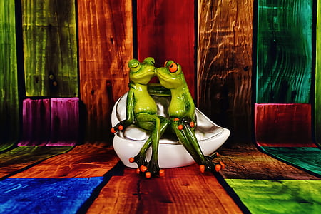 ljubitelji, žabe, zabavno, par, ljubezen, srčkano, žaba