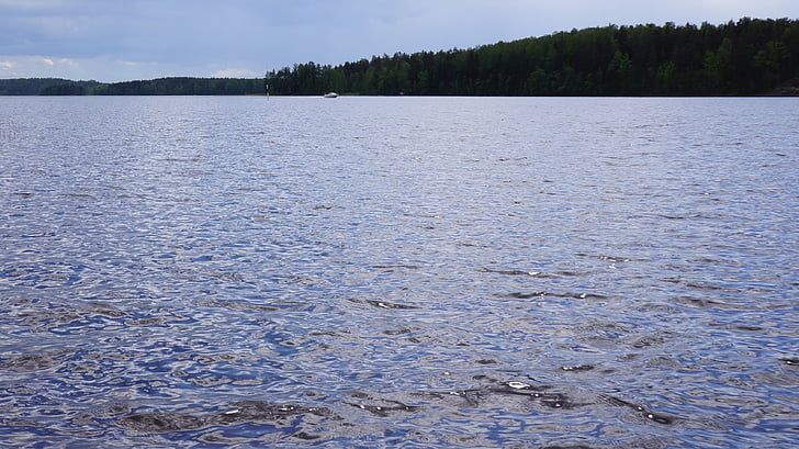 finlandesa, Llac, platja, l'altra riba, l'aigua, blau, natura