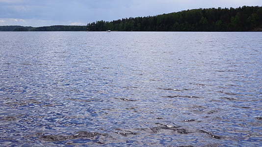 Finlandeză, Lacul, plajă, malul opus, apa, albastru, natura