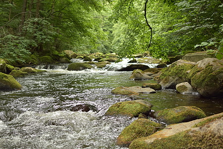 lover, elven, vann, steiner, idyllisk, humør, skog