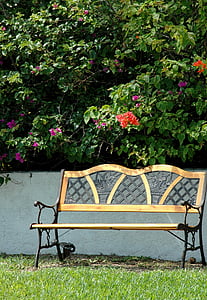 Sân vườn, băng ghế dự bị, Bougainvillea, Hoa, cây nho, bụi cây, nhiệt đới