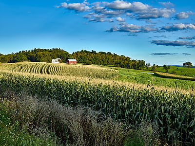 wisconsin, landscape, scenic, nature, outside, outdoors, country