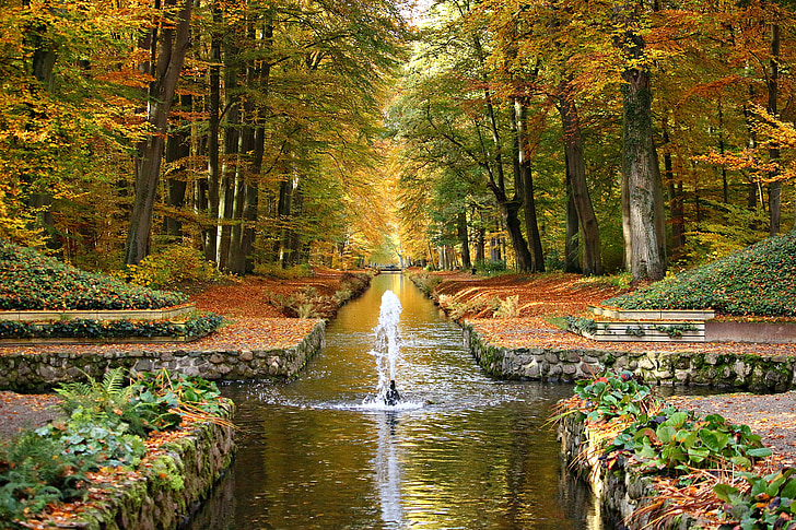 Slottsparken, Ludwigslust-parchim, fontän, kanal, hösten, Monk, Schlossgarten