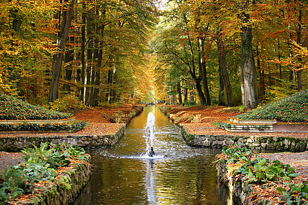 Parco del castello, Ludwigslust-parchim, Fontana di acqua, canale, autunno, rana pescatrice, Schlossgarten