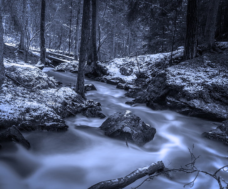 forest, brook, winter, swedish nature, creek, hdr, sweden
