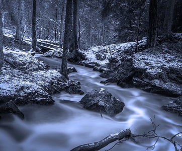 Wald, Bach, Winter, schwedische Natur, Creek, HDR, Schweden
