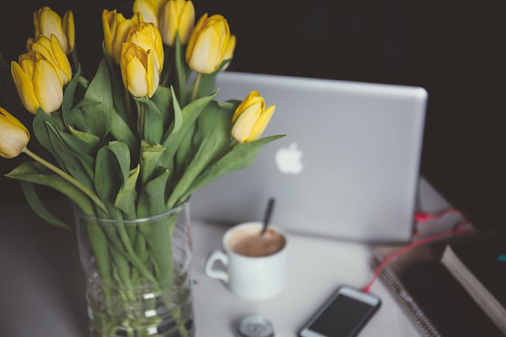sárga, virágok, kávé, virág, laptop, Office, tulipán