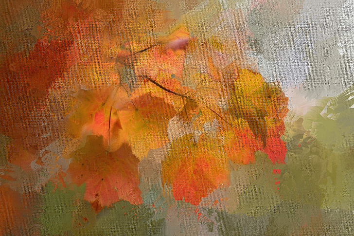 painting, leaves, fall, nature, maple, tree, foliage