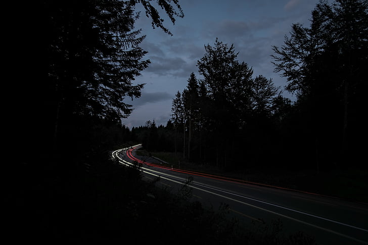 dark, light streaks, road, silhouette, trees, tree, night