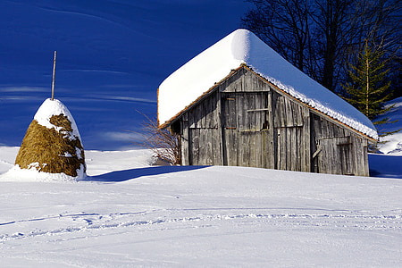 vinter, ladugården, snö, skala, trä, timmerstuga, naturen