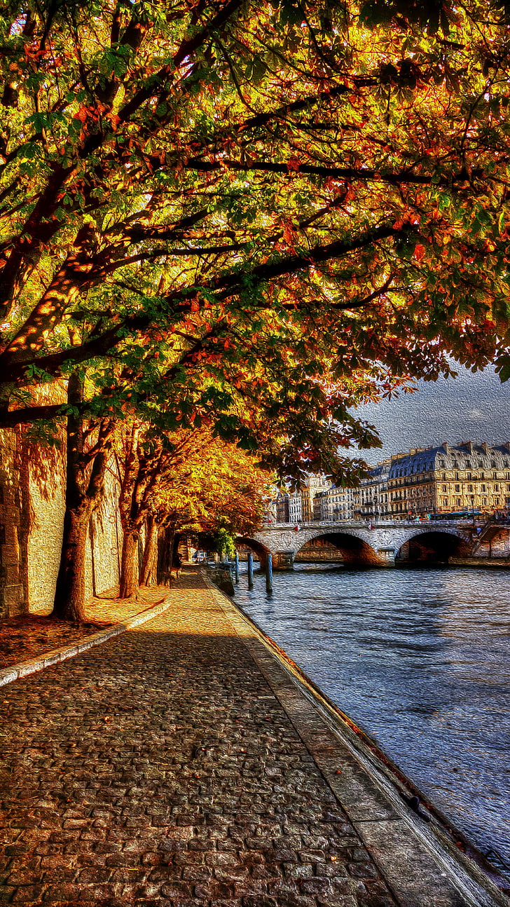 Παρίσι, Σηκουάνα, προκυμαία, δέντρο, αρχιτεκτονική, σε εξωτερικούς χώρους, Ταξιδιωτικοί Προορισμοί