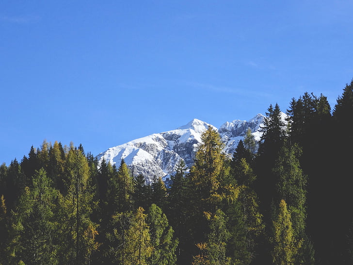 mountain, snow, snow mountain, nature, winter, landscape, pine tree