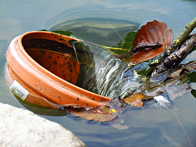 vaso de flor, água, vários, Lagoa, natureza