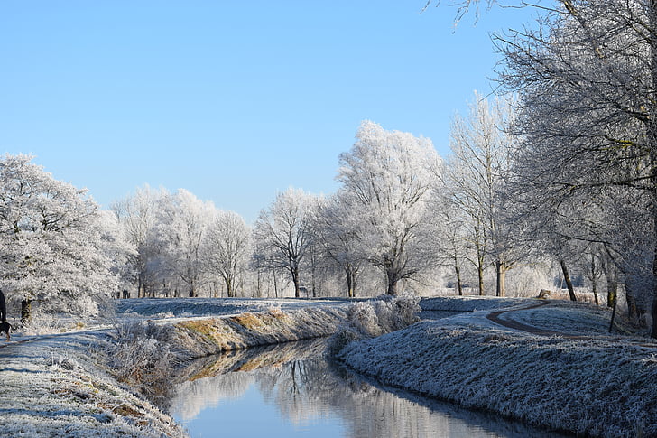 Delmenhorst, grefă, mili, iarna, iarnă, Frost, bruma