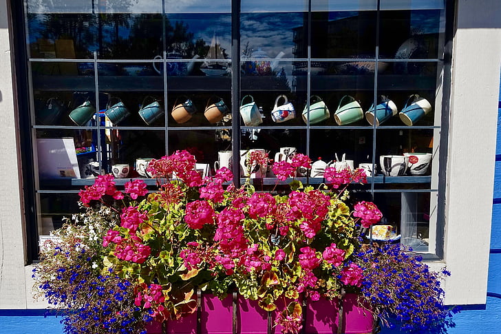 tasses, flors, Arranjament, exhibició, finestra