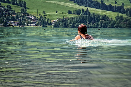 svømmer, søen, svømme, vand, menneskelige, aktive, fritid
