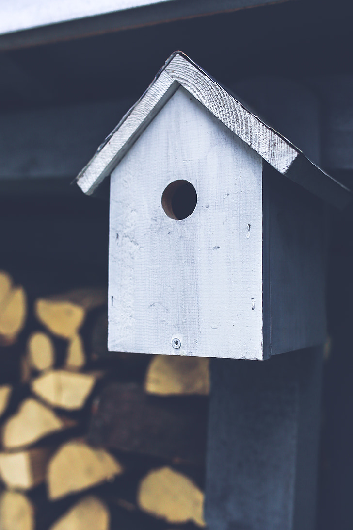 Birdhouse, vták, sivá, sivá, drevo, drevené, kŕmenie
