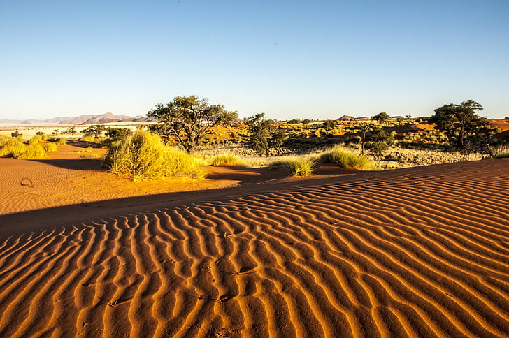 namibia, wolwedans, namib edge, desert, away, sand, nature