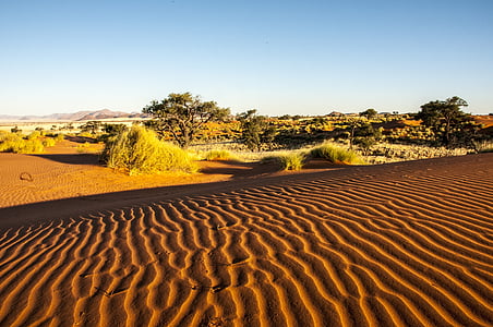 Namibia, wolwedans, Namib krawędzi, Pustynia, od, piasek, Natura