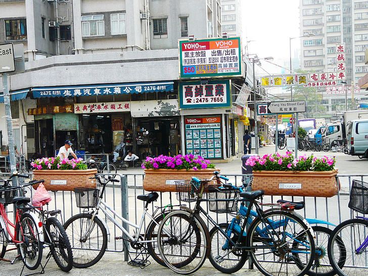 bicyclettes, rue, vue, fleur, vieux, ville, ville
