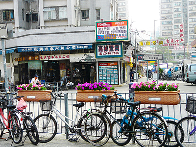 велосипеди, улица, изглед, цвете, стар, град, град